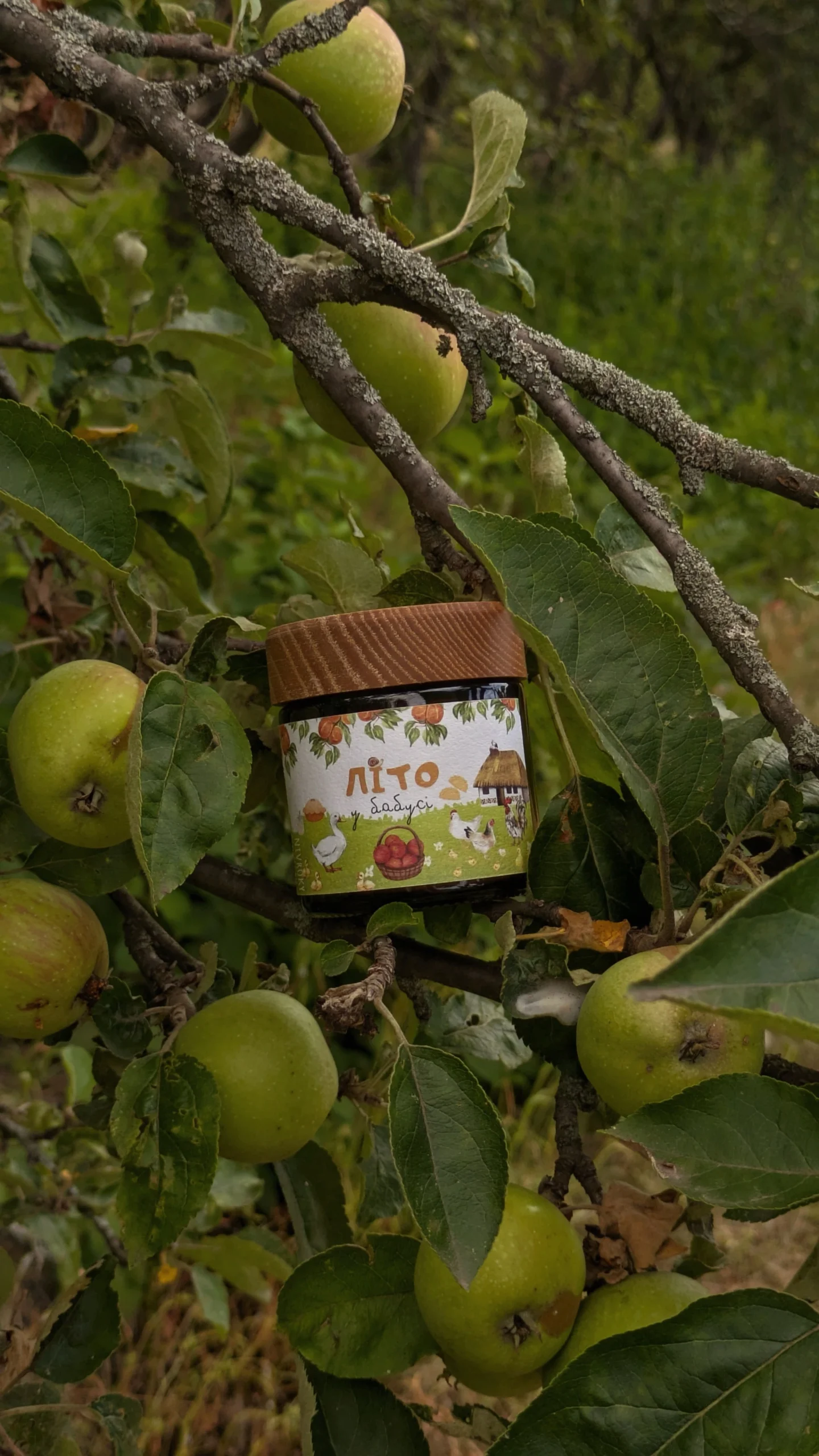 Літо у бабусі Контейнерна свічка